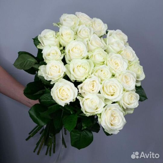 101 роза цветы букеты доставка 25 51 75