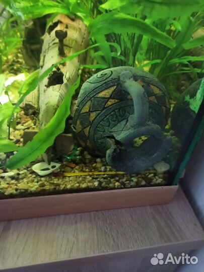 Аквариум на 106 литров