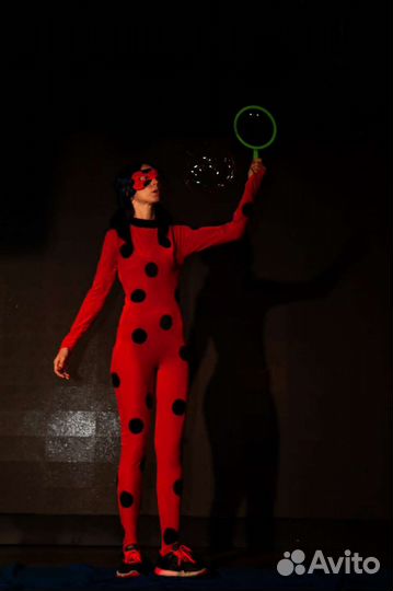 Аниматор/Соник/нащупай Новосибирск