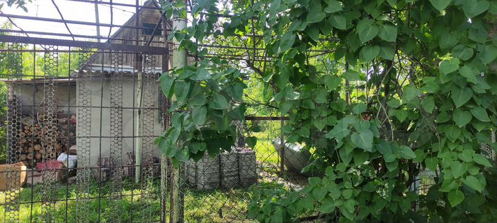 Дача 18 м² на участке 4,9 сот.