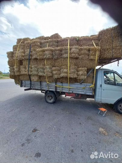 Тюки ячмень