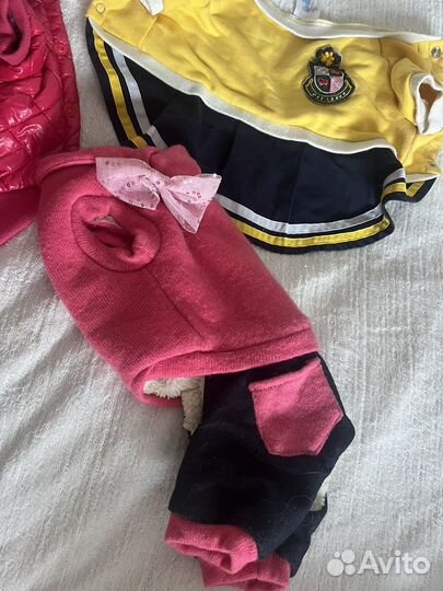 Одежда для собак