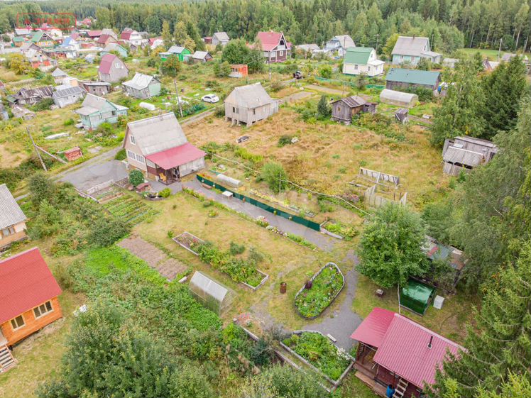 Эротический массаж в Петрозаводске