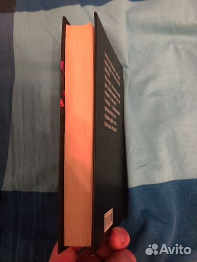 Чистовик Сергей Лукьяненко