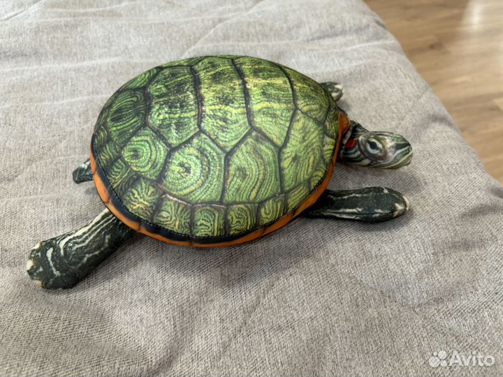 Черепаха блоптоп
