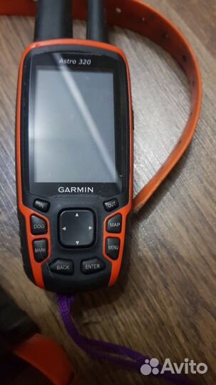 Garmin astro 320 с ошейниками dc 40