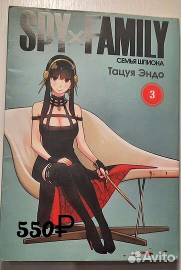 Книги Врата Штейна, семья шпиона