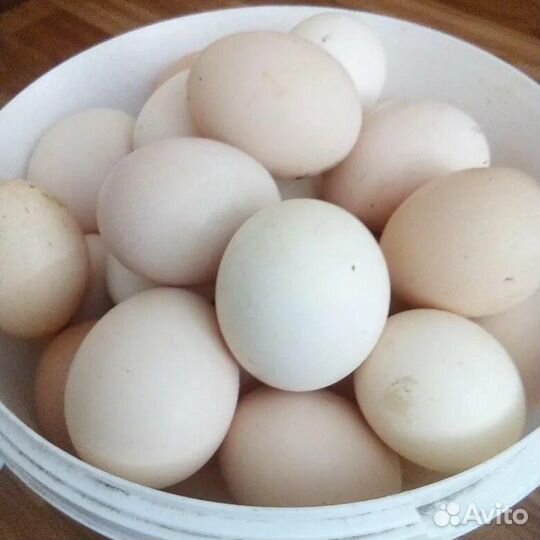 Домашние куриные яйца