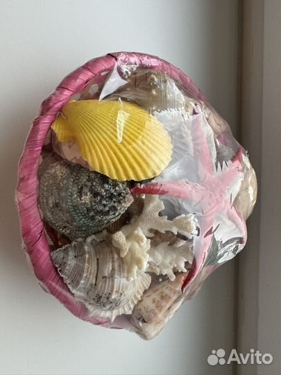 Набор ракушек для аквариума новый