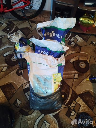 Семена подсолнечника гибрид