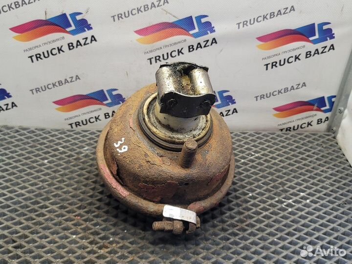 1189425 Камера тормозная передняя Iveco EuroTech