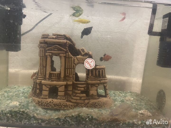Аквариум 30 литров с рыбками и фильтрами