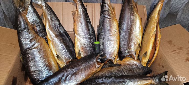 Клешни краба и другое