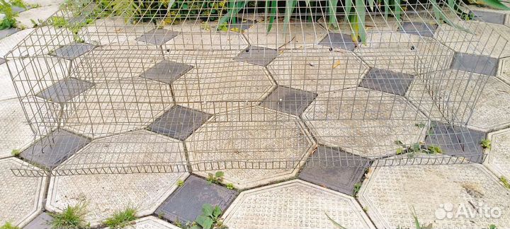 Клетки для перепелов