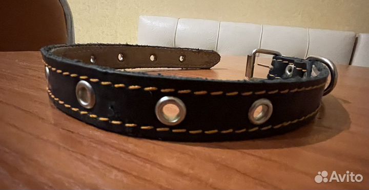 Ошейник для собак