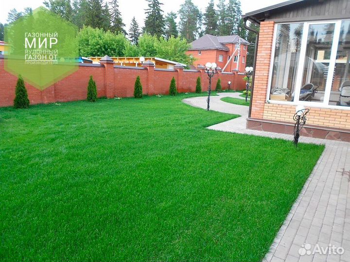 Рулонный газон
