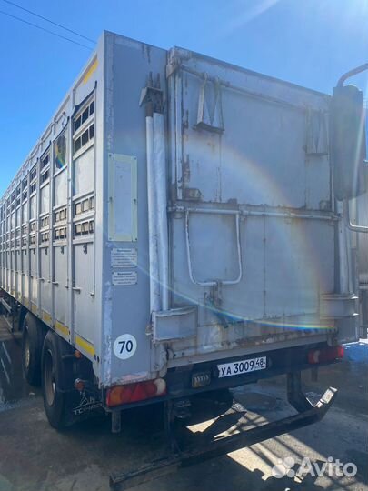 Перевозка крупных животных / крс / Скотовоз /Скот