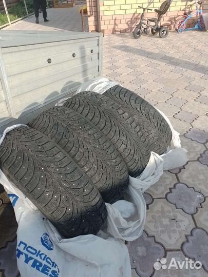 Pirelli P Zero Winter 185/65 R15