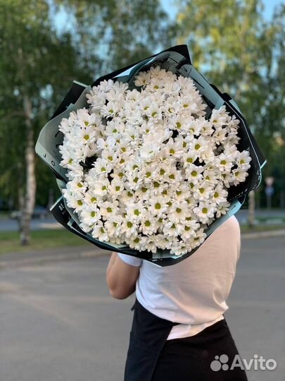 Хризантема