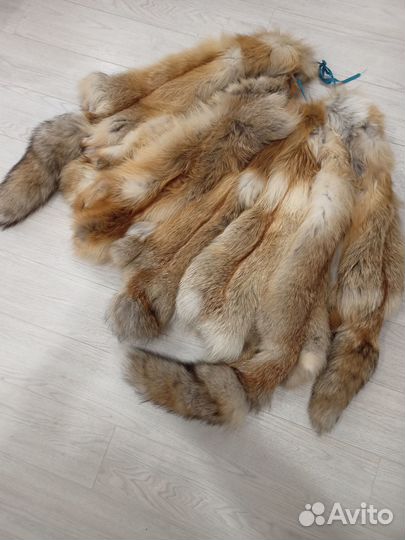 Шкуры рыжей Лисы