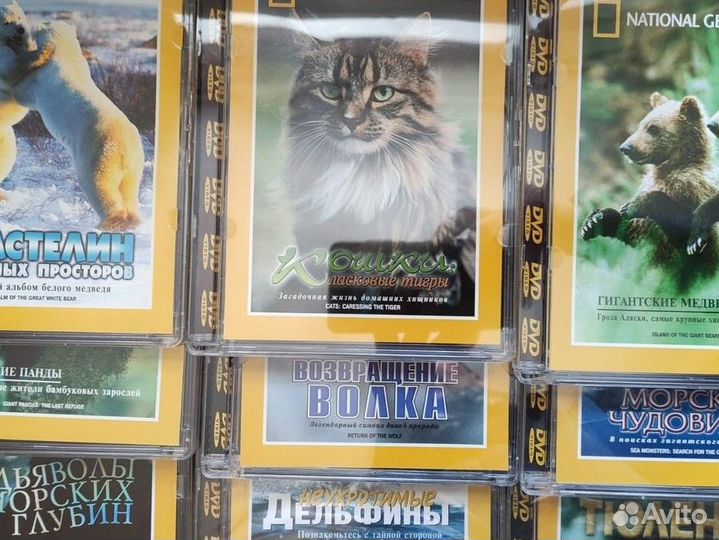 Диски dvd серия national geographic природа