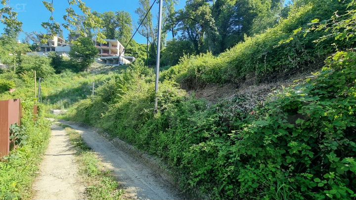 Участок 4,6 сот. (СНТ, ДНП)