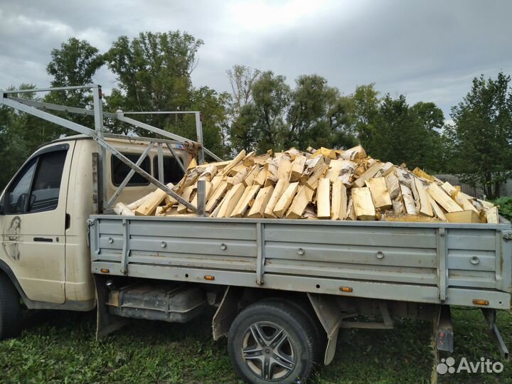 Дрова берёза