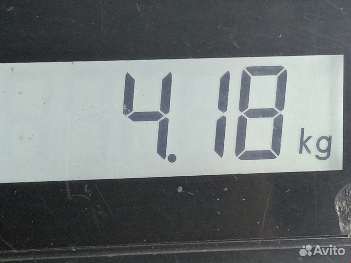 Усилитель тормозов вакуумный для Audi A6 C5