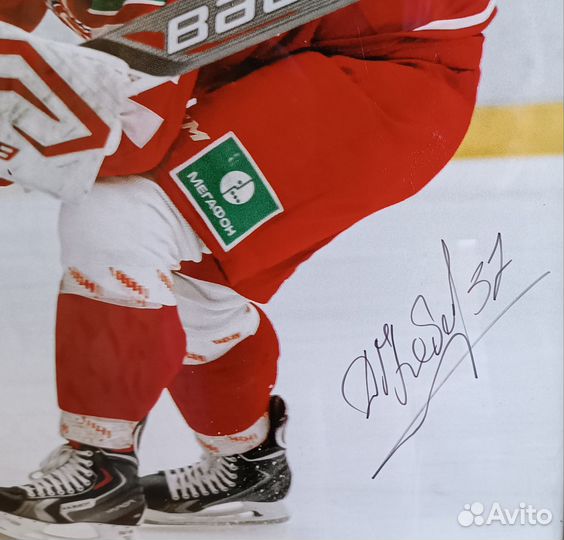 Плакат с автографом игроков хк витязь