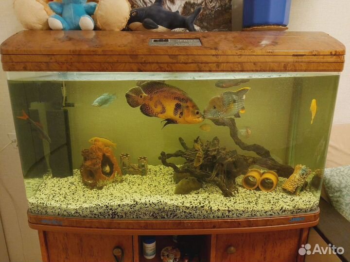 Аквариум Jebo R3100KG Style Aquarium