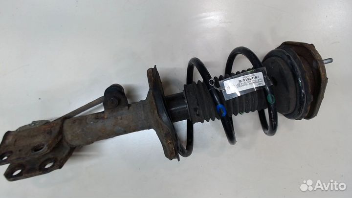 Амортизатор подвески Ford Focus 2, 2009