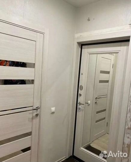 Входные и межкомнатные двери с зеркалами