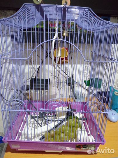 Клетка для попугая