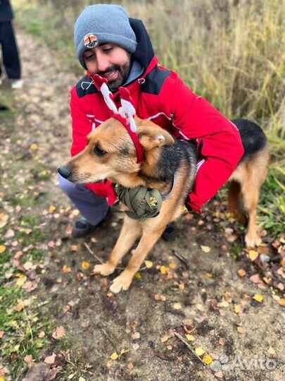 Брюс ищет дом