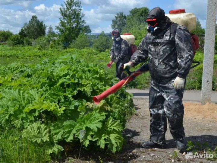 Уничтожение насекомых, крыс, сорняков, плесени