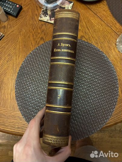 Книга «Жизнь животных» Брэма, 2 том (1896)
