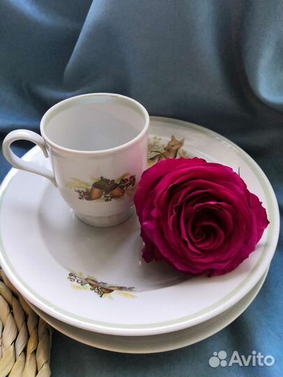 Детская посуда дулево