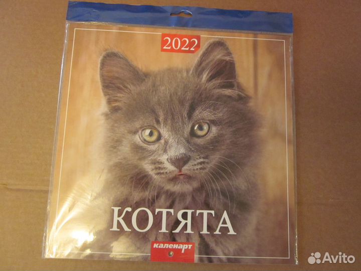 Календарь настенный 2022