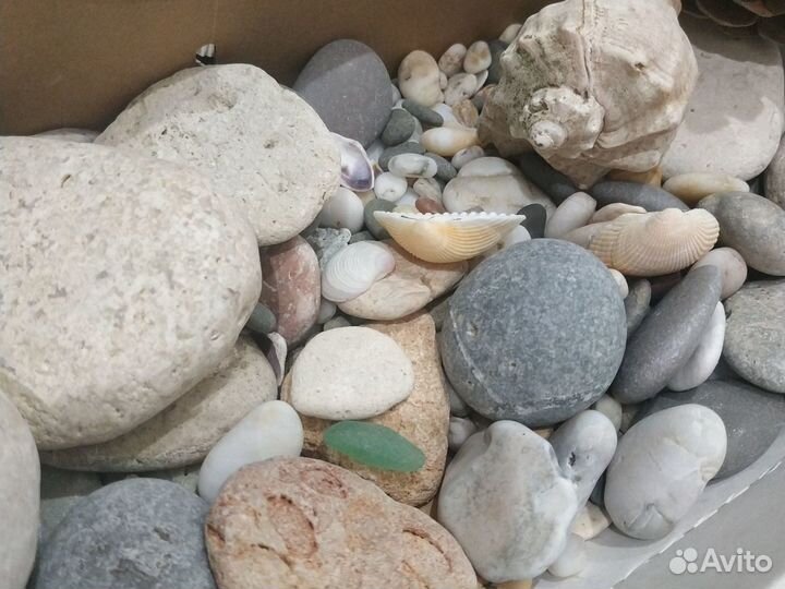 Ракушка, камни для аквариума