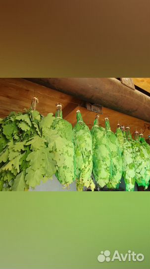 Веники дуб,берёза