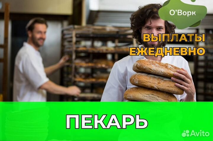 Пекарь на производство. ei453