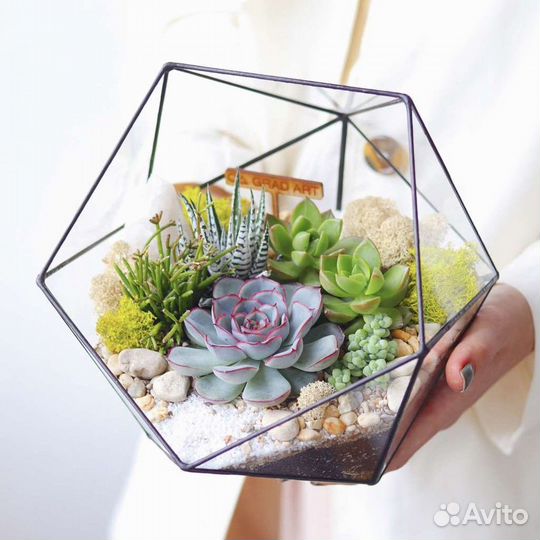 Флорариумы.Подарок.Суккуленты.Доставка цветов