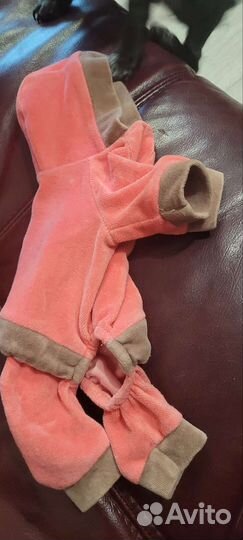 Комбинезон для маленькой собаки