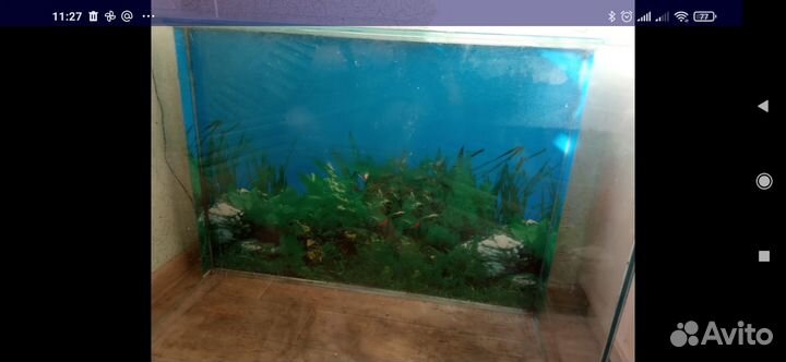 Аквариум под террариум