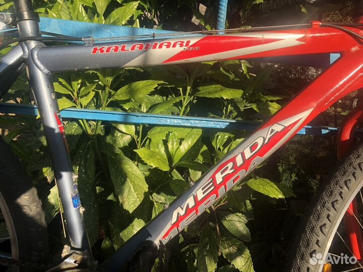 Мерида Калахари