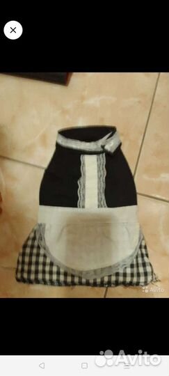 Одежда для маленьких собачек Йорка