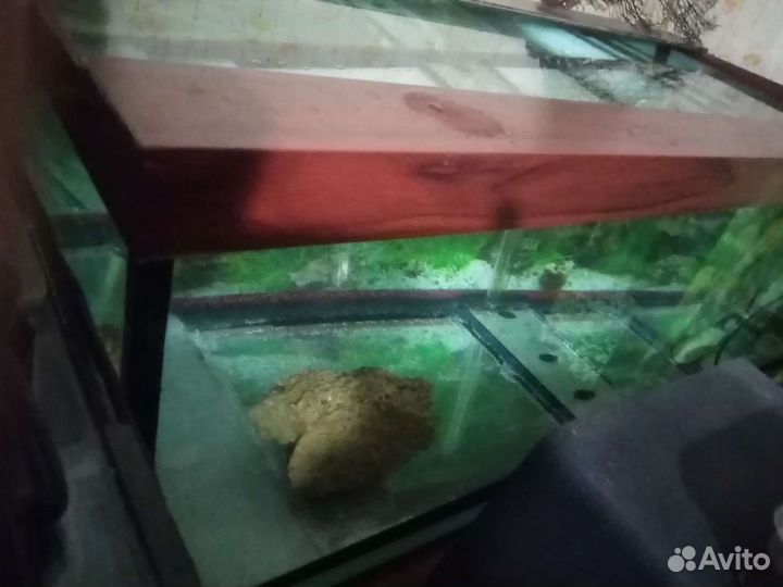 Аквариумы с рыбками