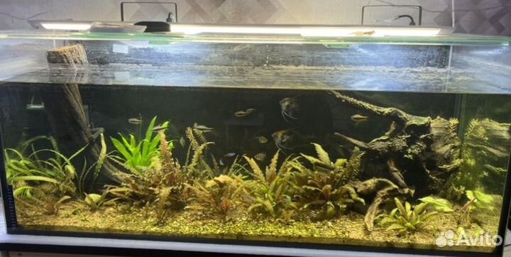 Аквариум 320 литров