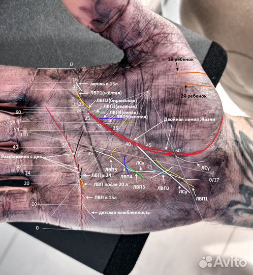 Хиромант, гадание по фото рук, онлайн, вижу всё