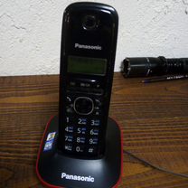 Panasonic